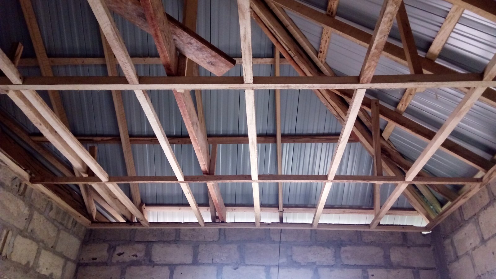 Ceiling Joist, Noggins — project photo 9